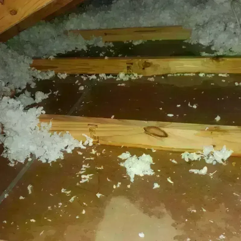 Attic Water Damage in Oakfield, WI